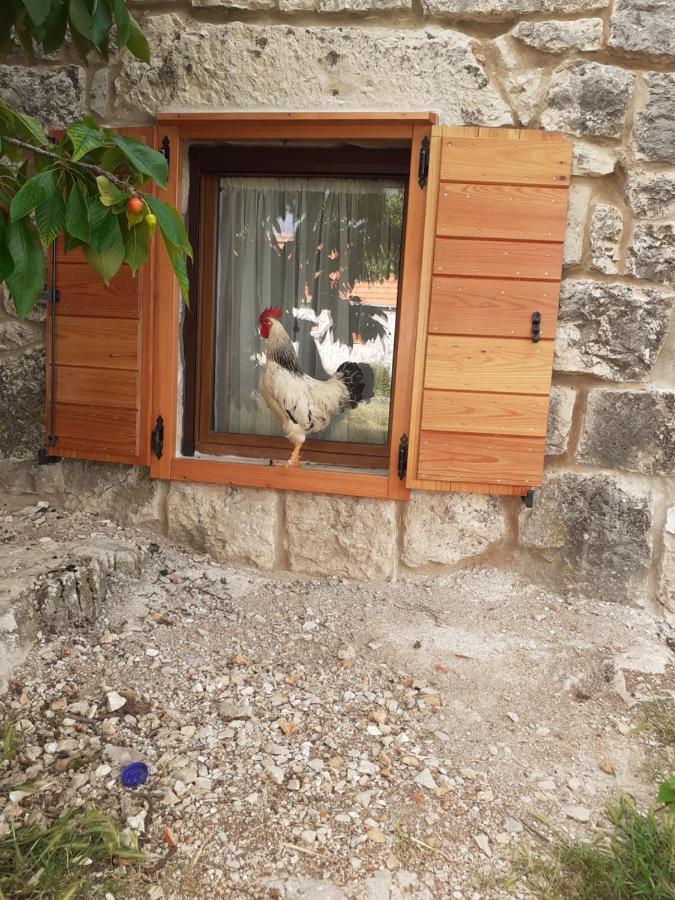 Patakun Holiday Home For 5, With Heated Pool Lecevica 외부 사진