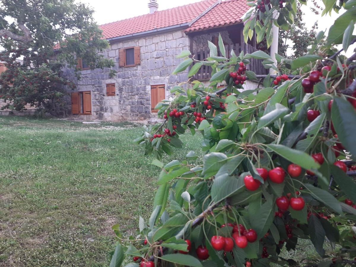 Patakun Holiday Home For 5, With Heated Pool Lecevica 외부 사진